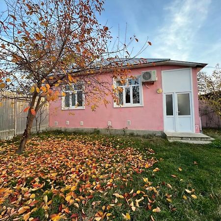 Qafqaz Resort Family House Gabala Exteriör bild