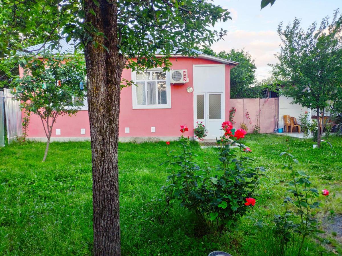 Qafqaz Resort Family House Gabala Exteriör bild